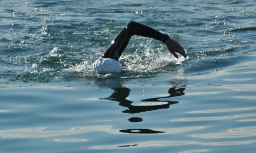 cours de natation pour le triathlon